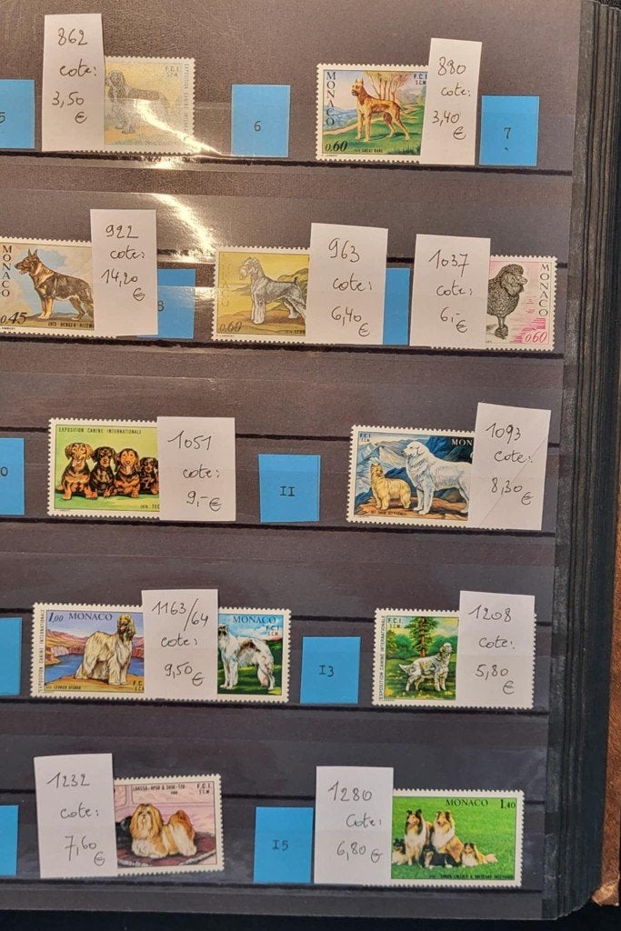 Postzegels album honden en katten, Postzegels en Munten, Postzegels | Thematische zegels, Ophalen of Verzenden