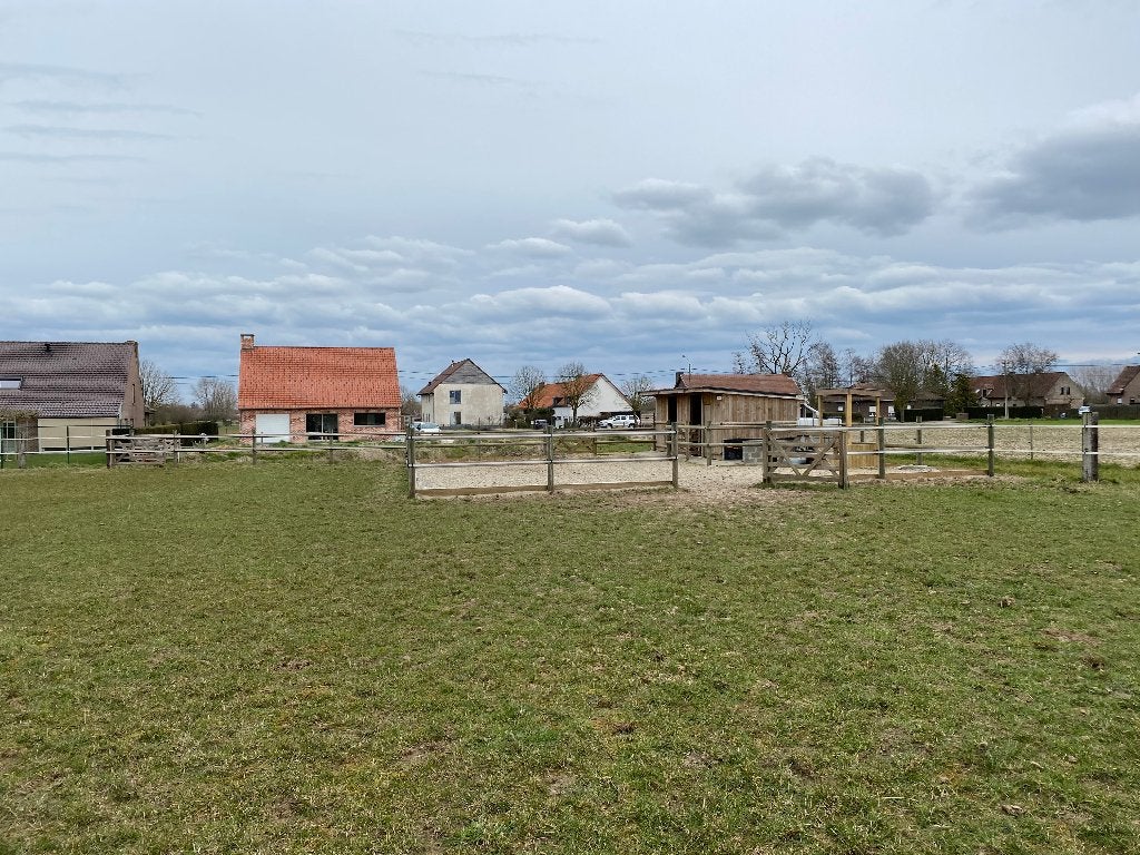 Pension pré/box chevaux – Proche Comines (Houthem) 7781, Animaux & Accessoires, Mise à l'étable, 1 cheval ou poney