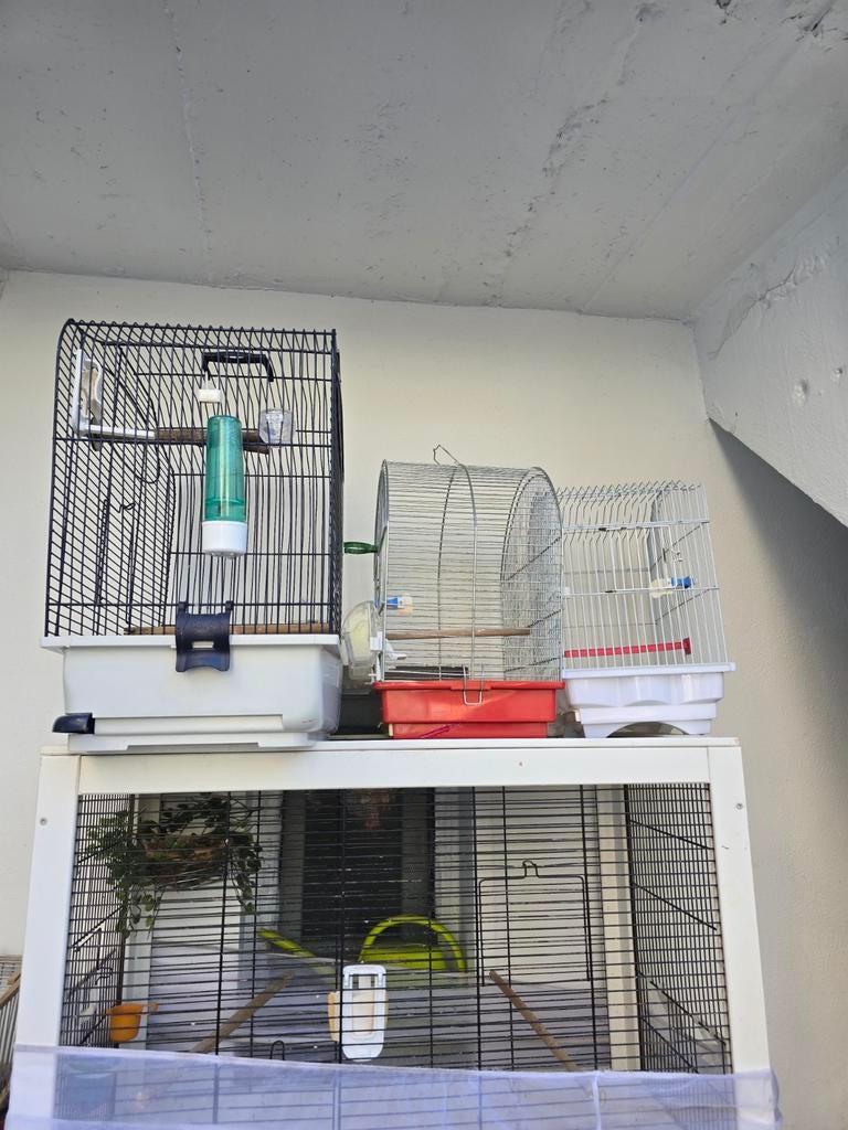 3 cages a vendre