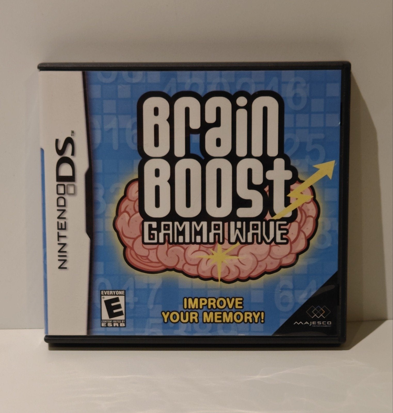 Brain Boost : Gamma Wave pour Nintendo DS Majesco Entertainm, Consoles de jeu & Jeux vidéo, Jeux | Nintendo DS, Enlèvement ou Envoi