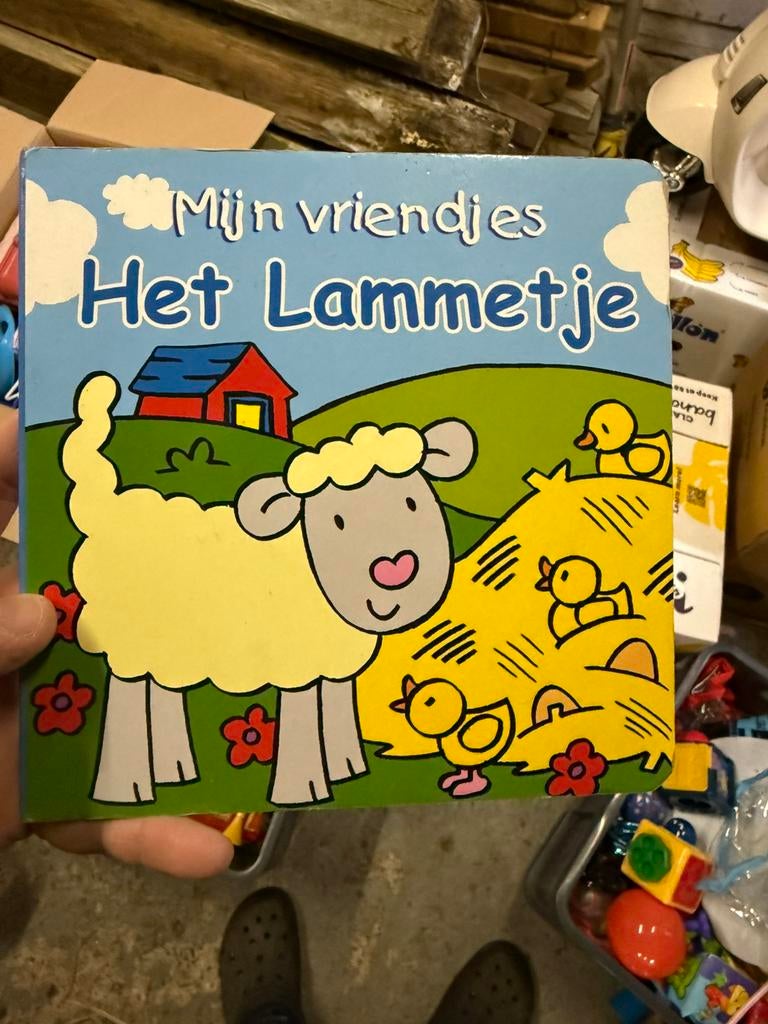 Mijn vriendjes - het lammetje, Ophalen of Verzenden, Gelezen