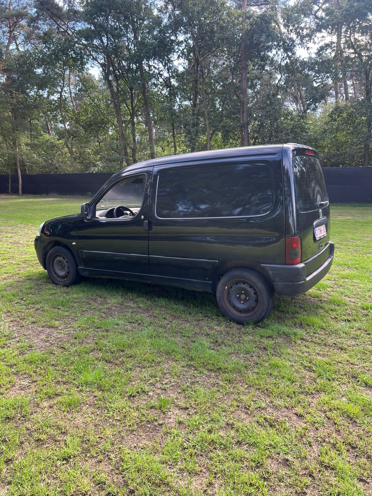 Lichte vracht, Auto's, Diesel, Particulier, Te koop, Partner