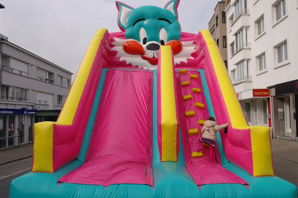 Springkasteel 'Cat slide' + blower, Hobby en Vrije tijd, Ophalen, Gebruikt