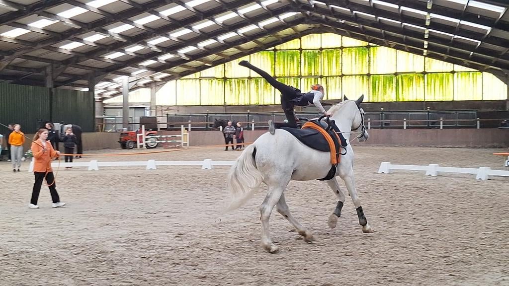 Halve stal, Dieren en Toebehoren, Ophalen of Verzenden