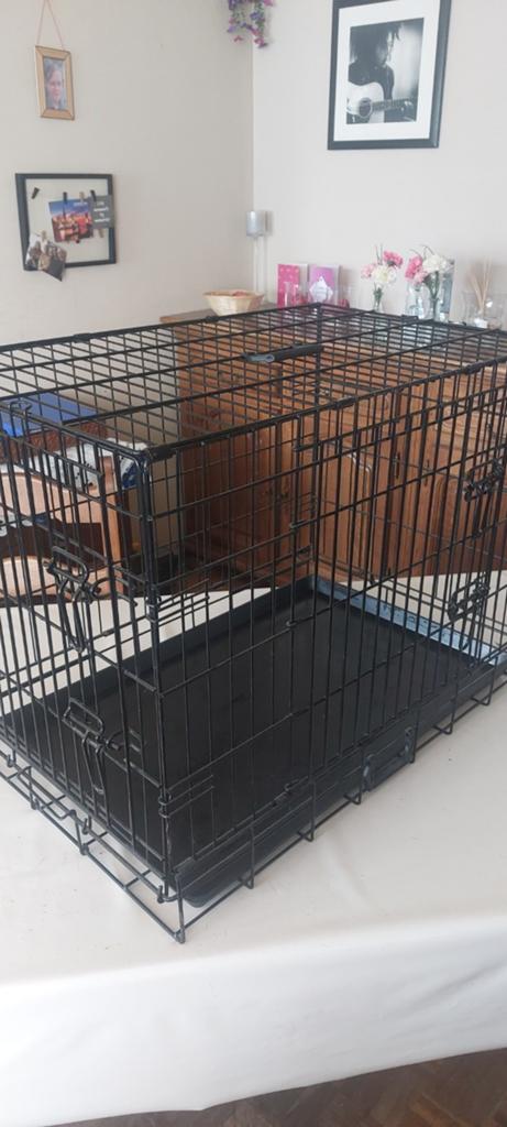 Banc pour chien/chat, Enlèvement