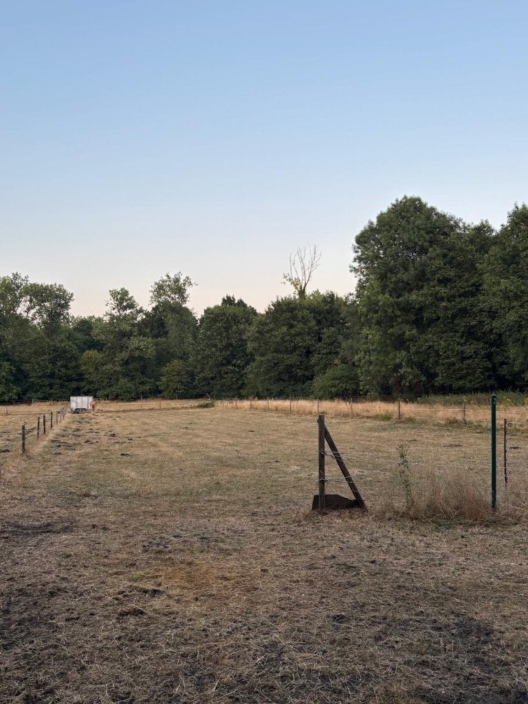 Vakantieopvang voor 2 paarden in Oudsbergen, Animaux & Accessoires, Chevaux & Poneys | Semi-remorques & Remorques, Enlèvement ou Envoi