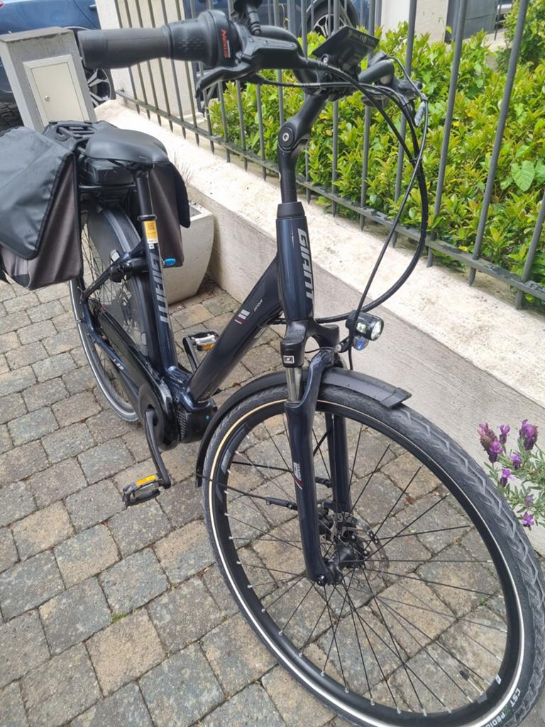 Elektrische fiets giant entour, Fietsen en Brommers, Elektrische fietsen, Ophalen, Giant