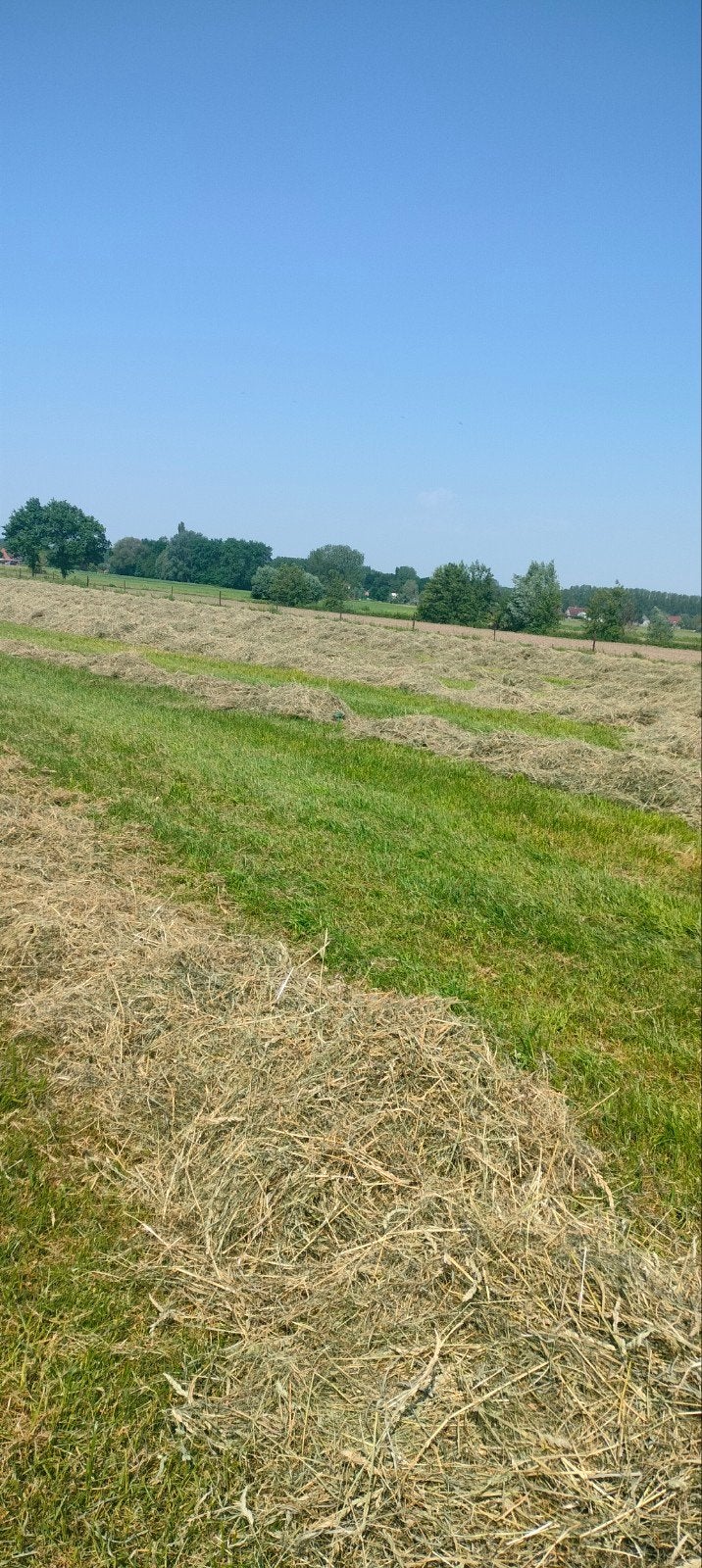 Mini Balen hooi, Dieren en Toebehoren