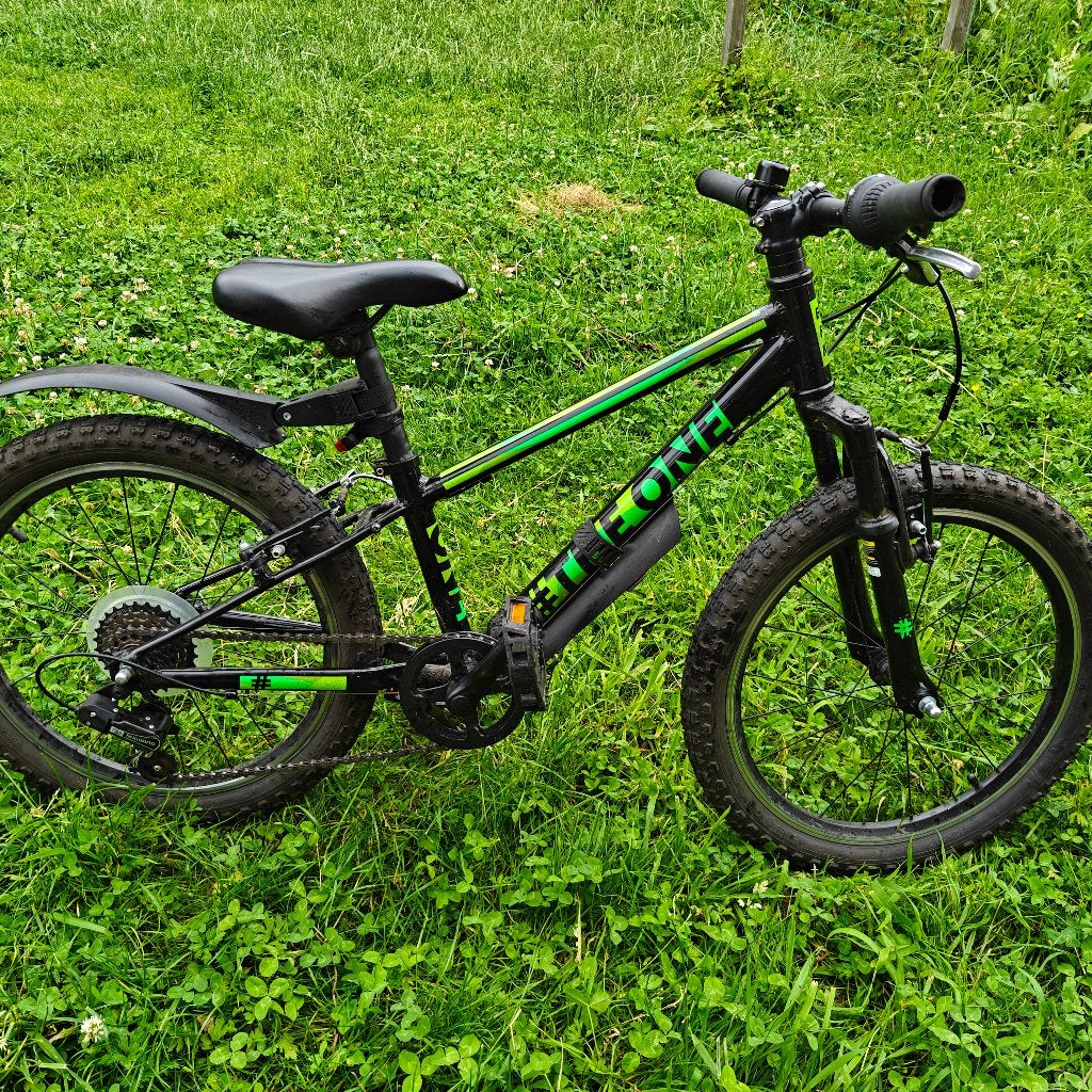 mountainbike 20 inch, Fietsen en Brommers, Ophalen, Gebruikt, 20 inch, The one