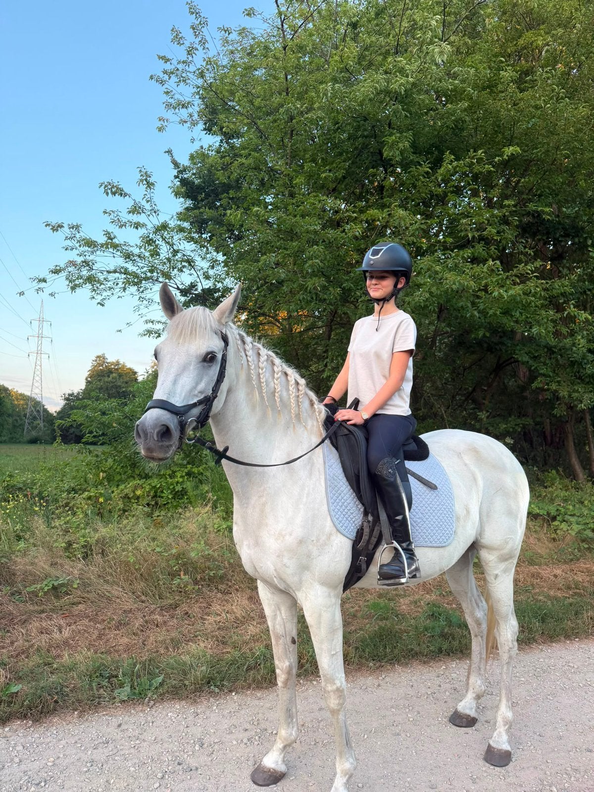 Super lieve merrie ( materiaal inbegrepen ), Dieren en Toebehoren, Paarden, Merrie, L