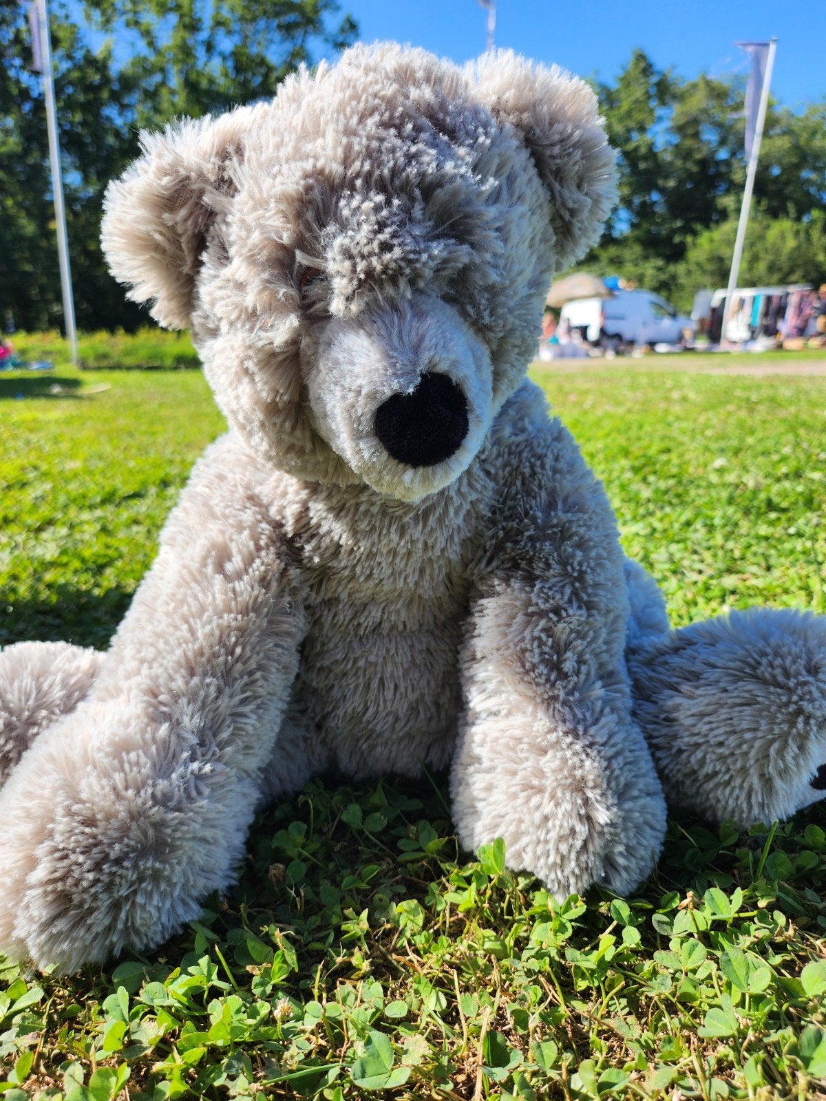 Teddybeer, Ophalen of Verzenden
