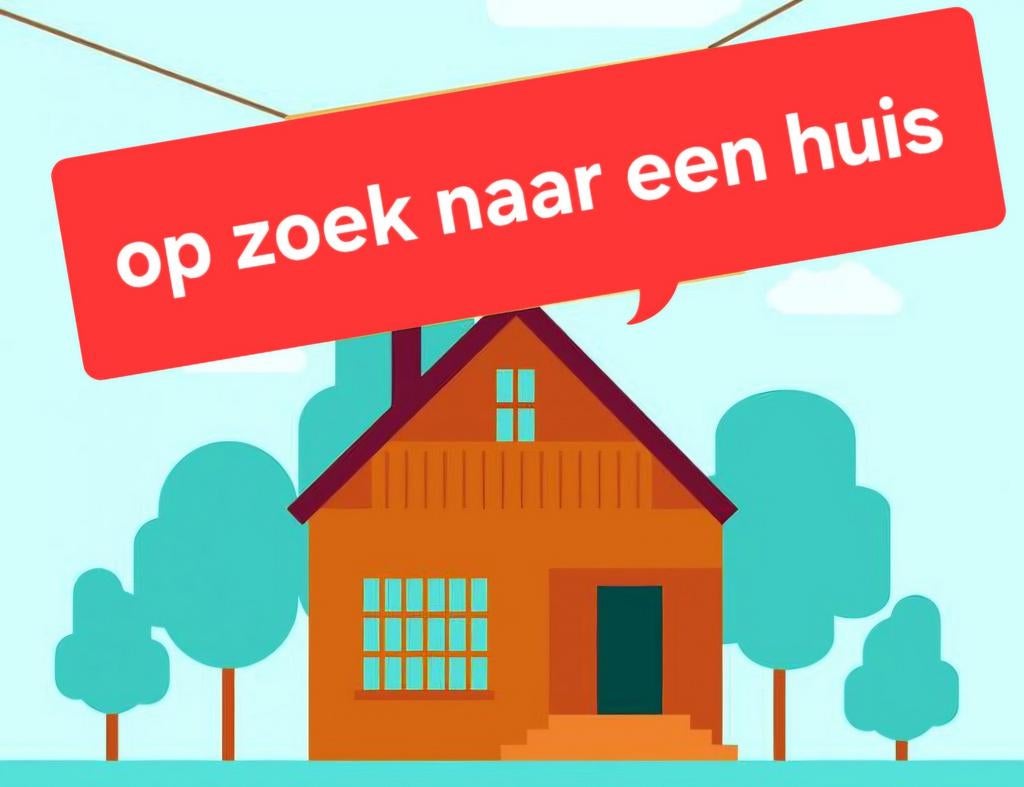 Huisje gezocht, Immo