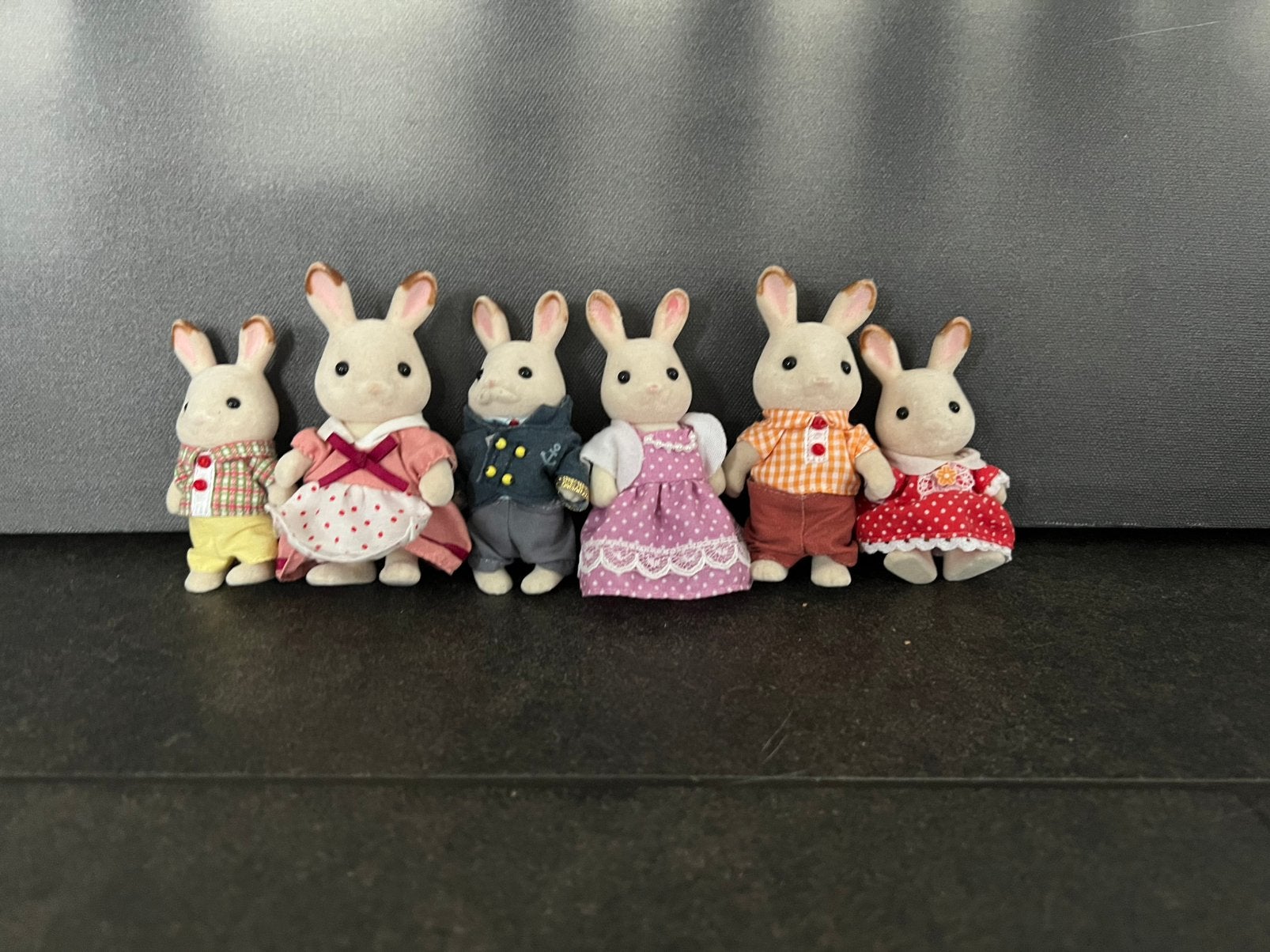 Sylvanian famelies konijnen familie, Verzamelen, Ophalen, Zo goed als nieuw