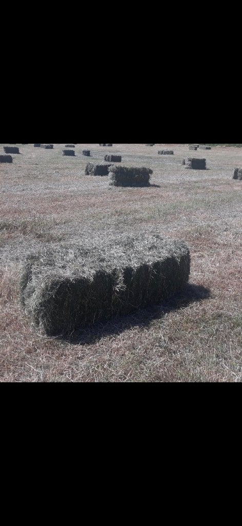 150 paquets de HAY peuvent être livrés, Enlèvement