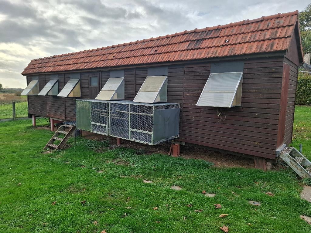 Duivenhok, Dieren en Toebehoren, Ophalen, Gebruikt, Hout, Broedkooi of Kweekkooi