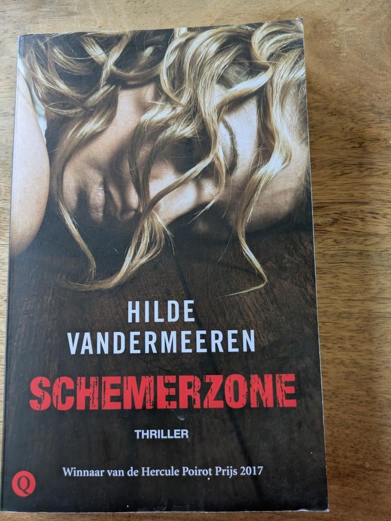 Boek Schemerzone / Hilde Vandermeeren, Ophalen of Verzenden, Hilde Vandermeeren