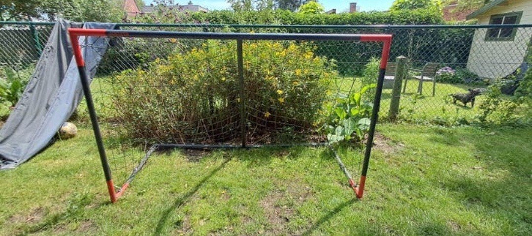 Voetbaldoel, Enlèvement