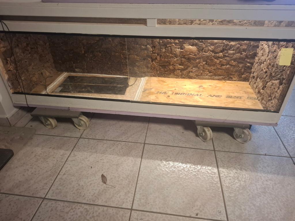 Terrarium te koop, Dieren en Toebehoren, Ophalen