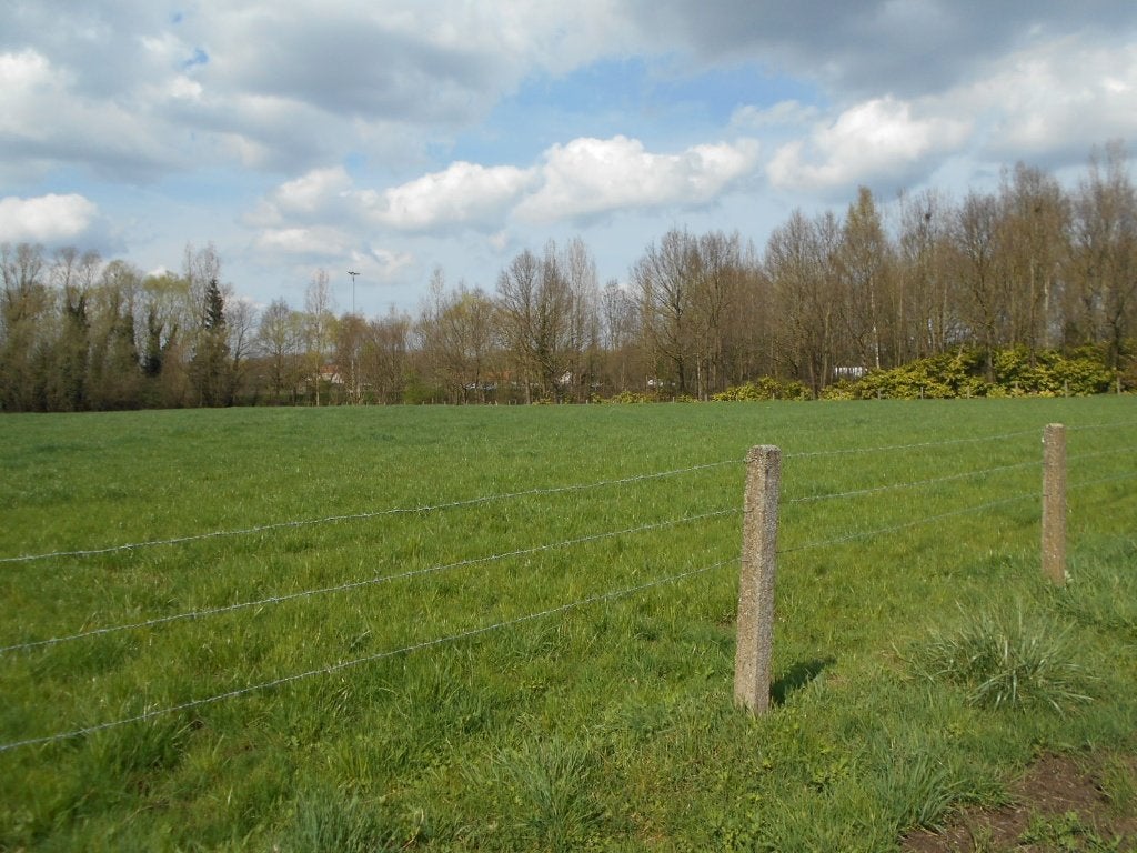 Weide / landbouwgrond te koop te Ternat, 1500 m² of meer