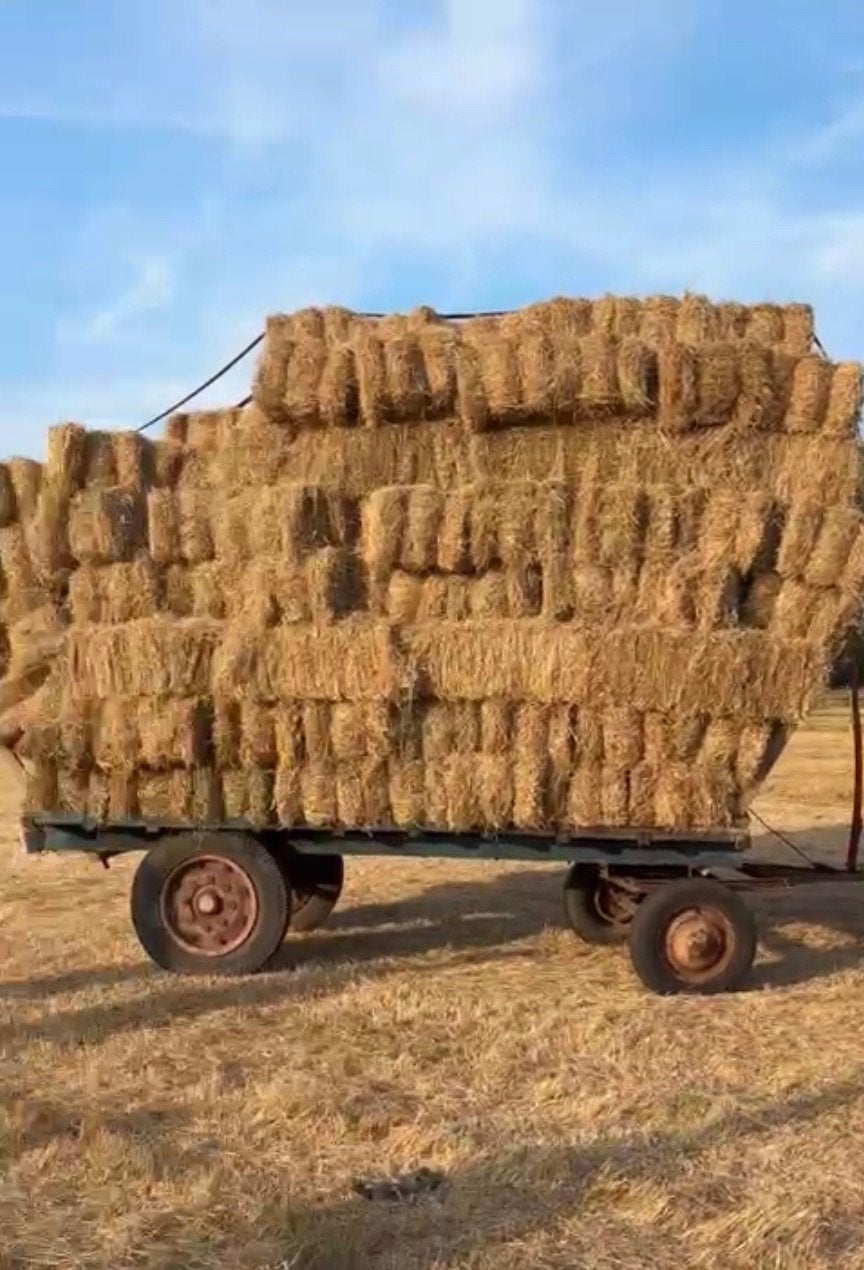 Kleine pakjes hooi te koop, Enlèvement