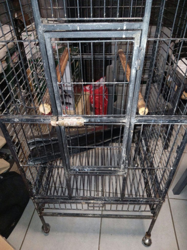 cage pour perroquet, Animaux & Accessoires, Enlèvement, Utilisé, Métal, Cage à oiseaux