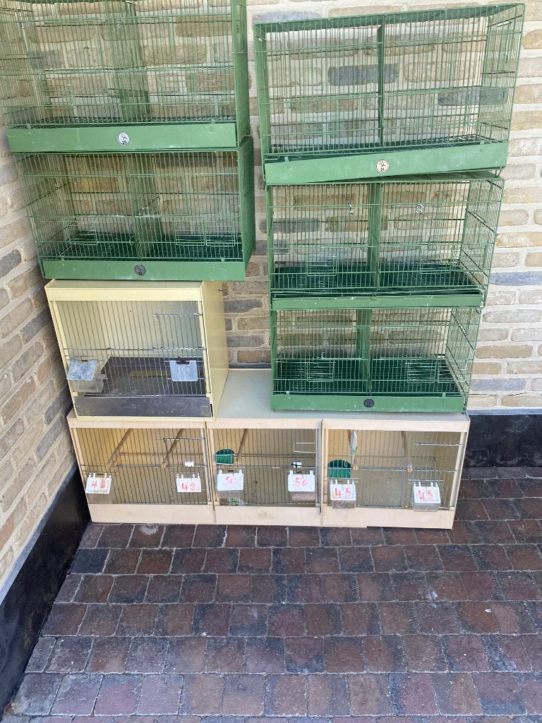 Cages d'élevage, Animaux & Accessoires