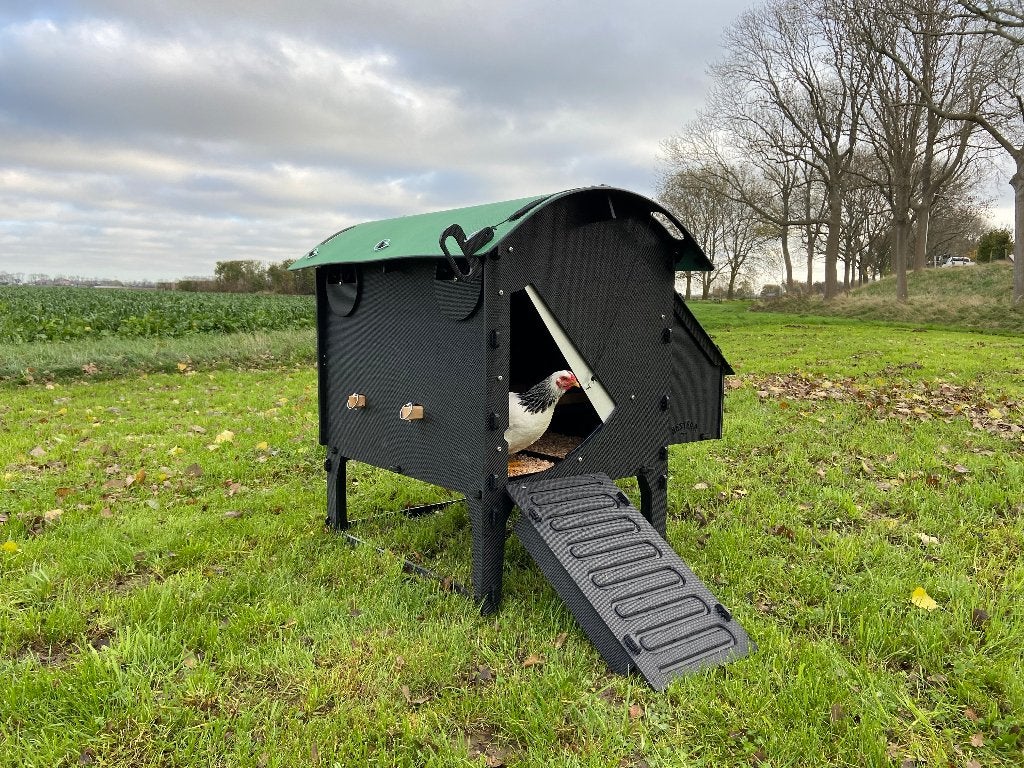 Nestera Kippenhok Medium op pootjes | Kunststof nachthok, Dieren en Toebehoren, Ophalen of Verzenden, Nieuw, Kippenhok of Kippenren