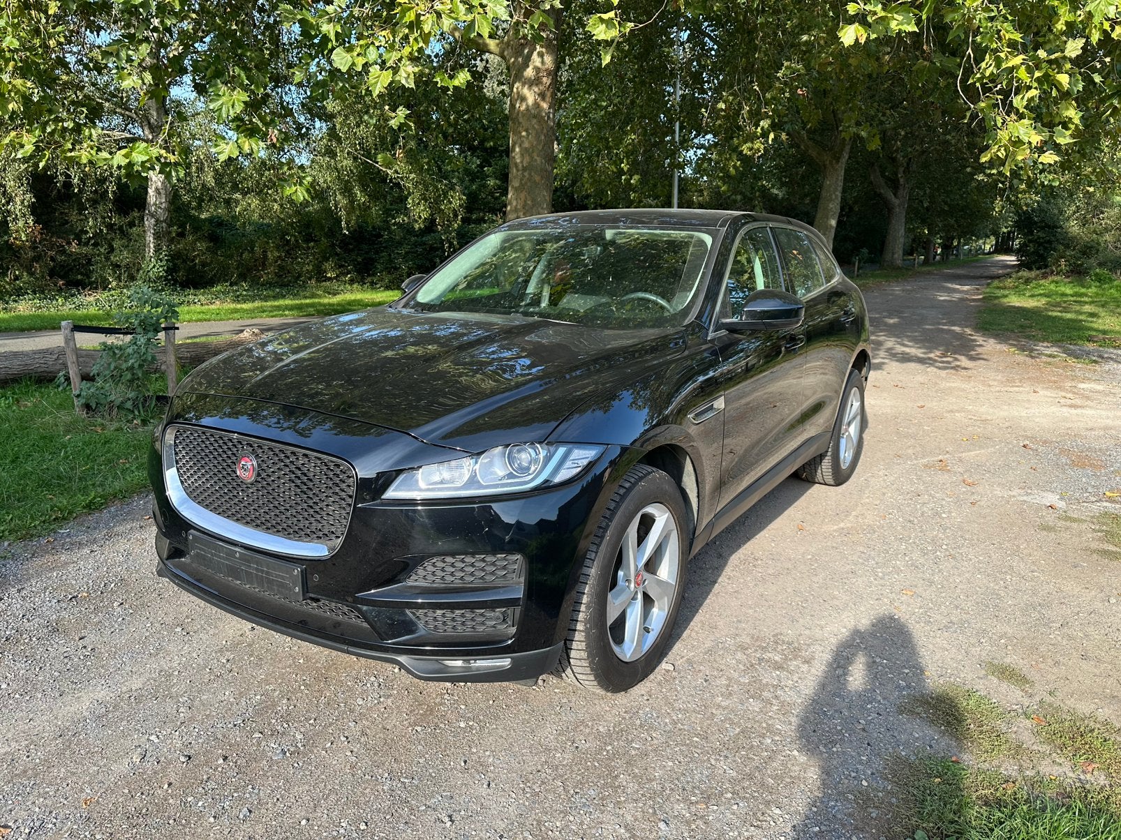 JAGUAR F-PACE 3.0D V6 À TRACTION INTÉGRALE PURE | EURO 6d, Achat, Euro 6, Noir, 5 portes