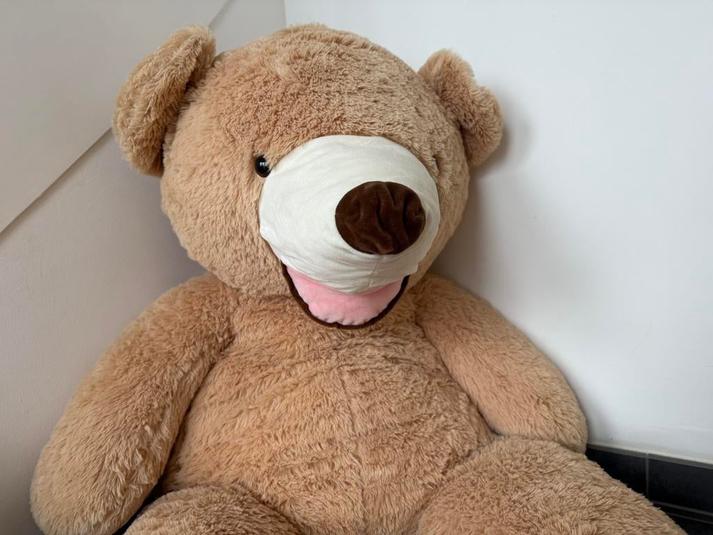 Pluchen beer, Enlèvement, Comme neuf, Ours, Lavable