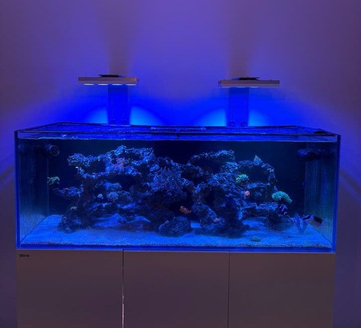 Red sea 525 xl zeeaquarium, Dieren en Toebehoren, Ophalen, Zo goed als nieuw, Red Sea