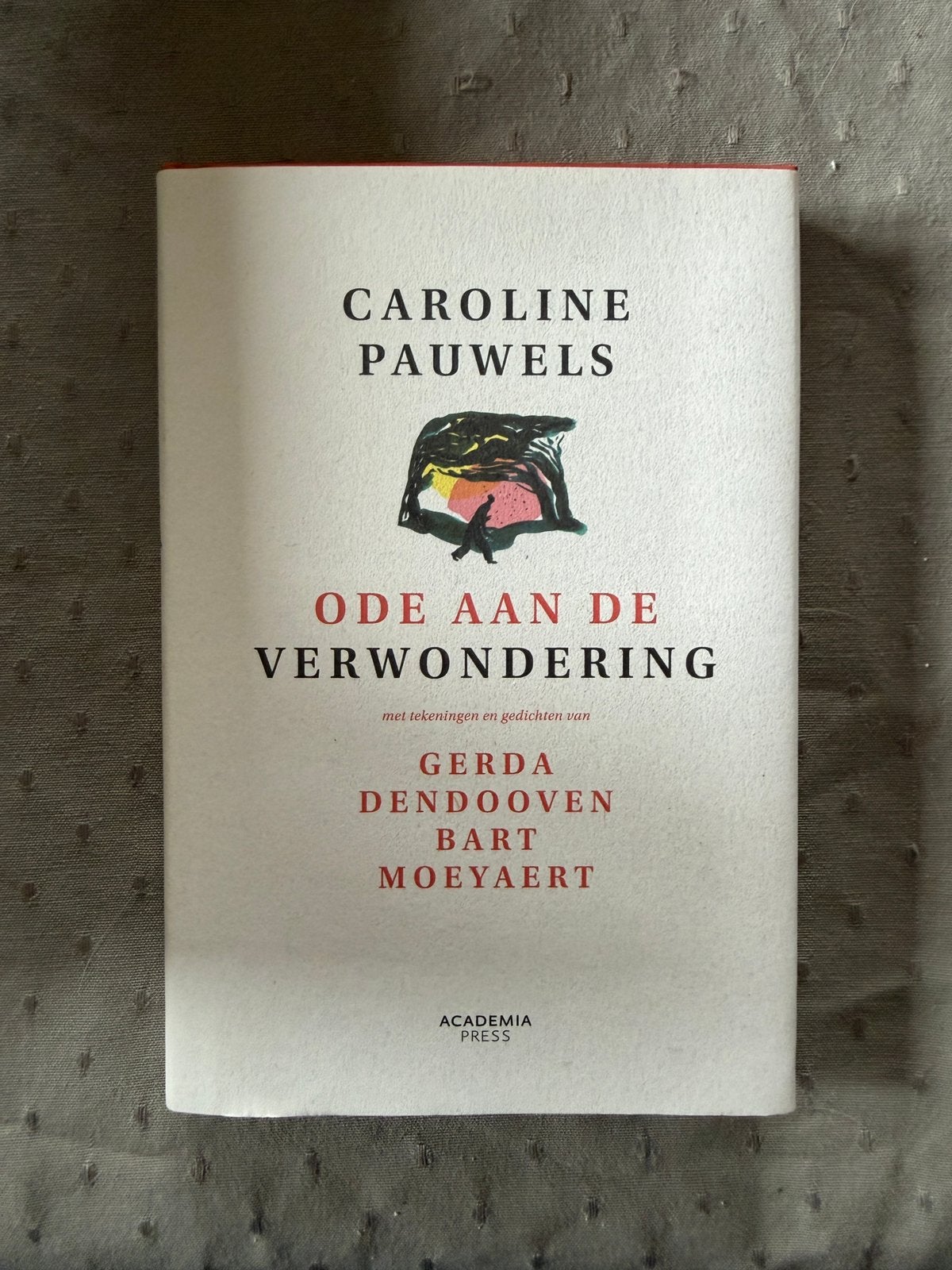 Ode aan de verwondering - caroline pauwels, Enlèvement, Neuf, Enseignement supérieur professionnel