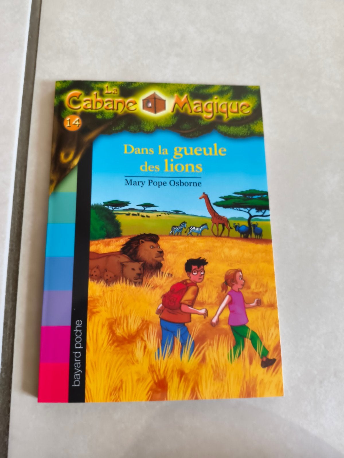 livre cabane magique, Livres, Enlèvement, Comme neuf