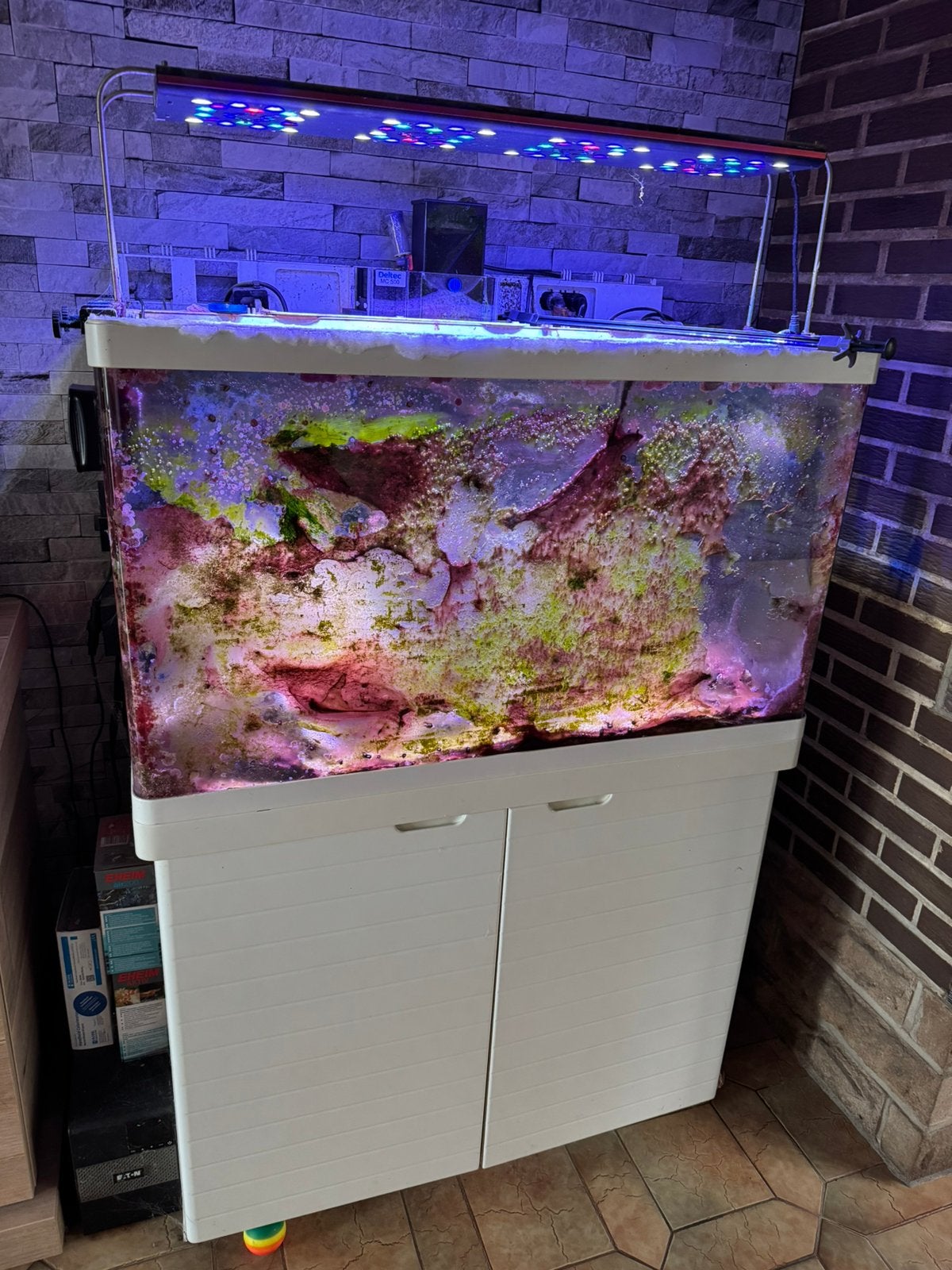 Aquarium eau de mer, Enlèvement, Pompe, Comme neuf