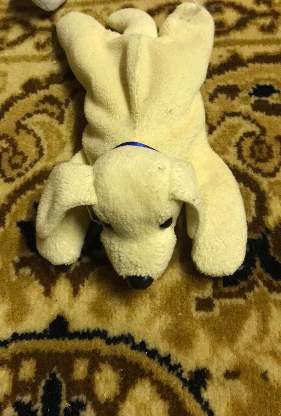 Knuffel hond scottex, Kinderen en Baby's, Speelgoed | Knuffels en Pluche, Verzenden