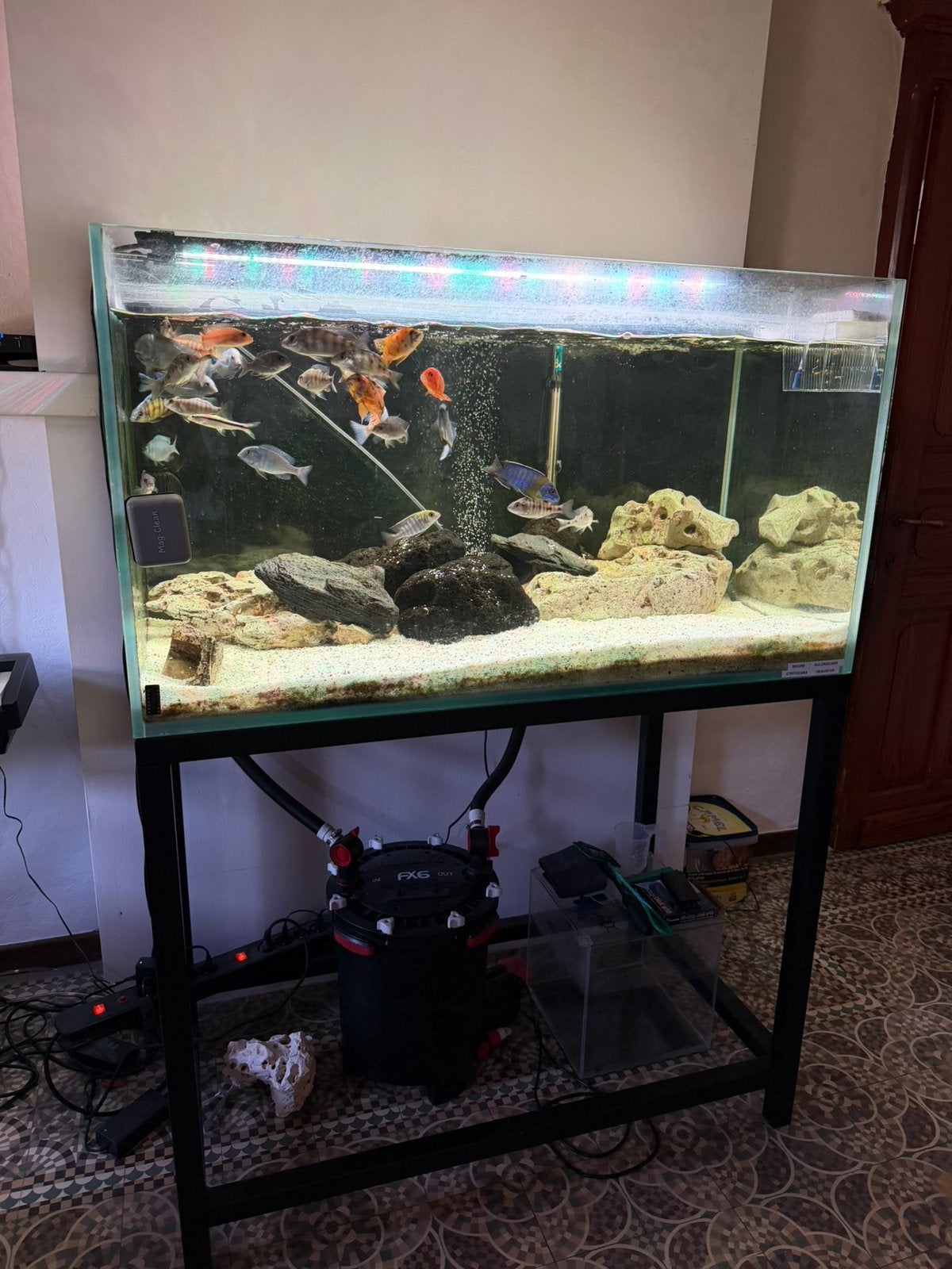 Aquarium complet, Poissons inclus, Aquarium d'eau douce rempli, Comme neuf, Enlèvement