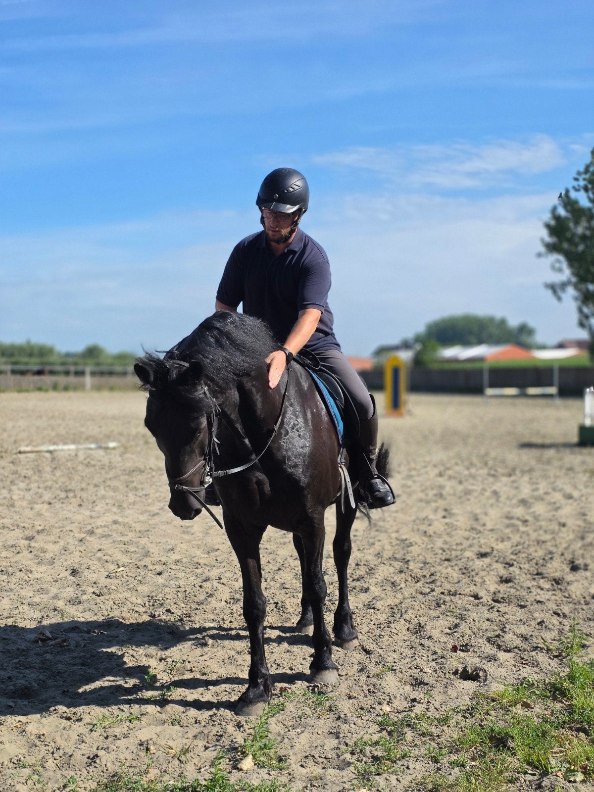 Ruiter voor uw paard, Dieren en Toebehoren