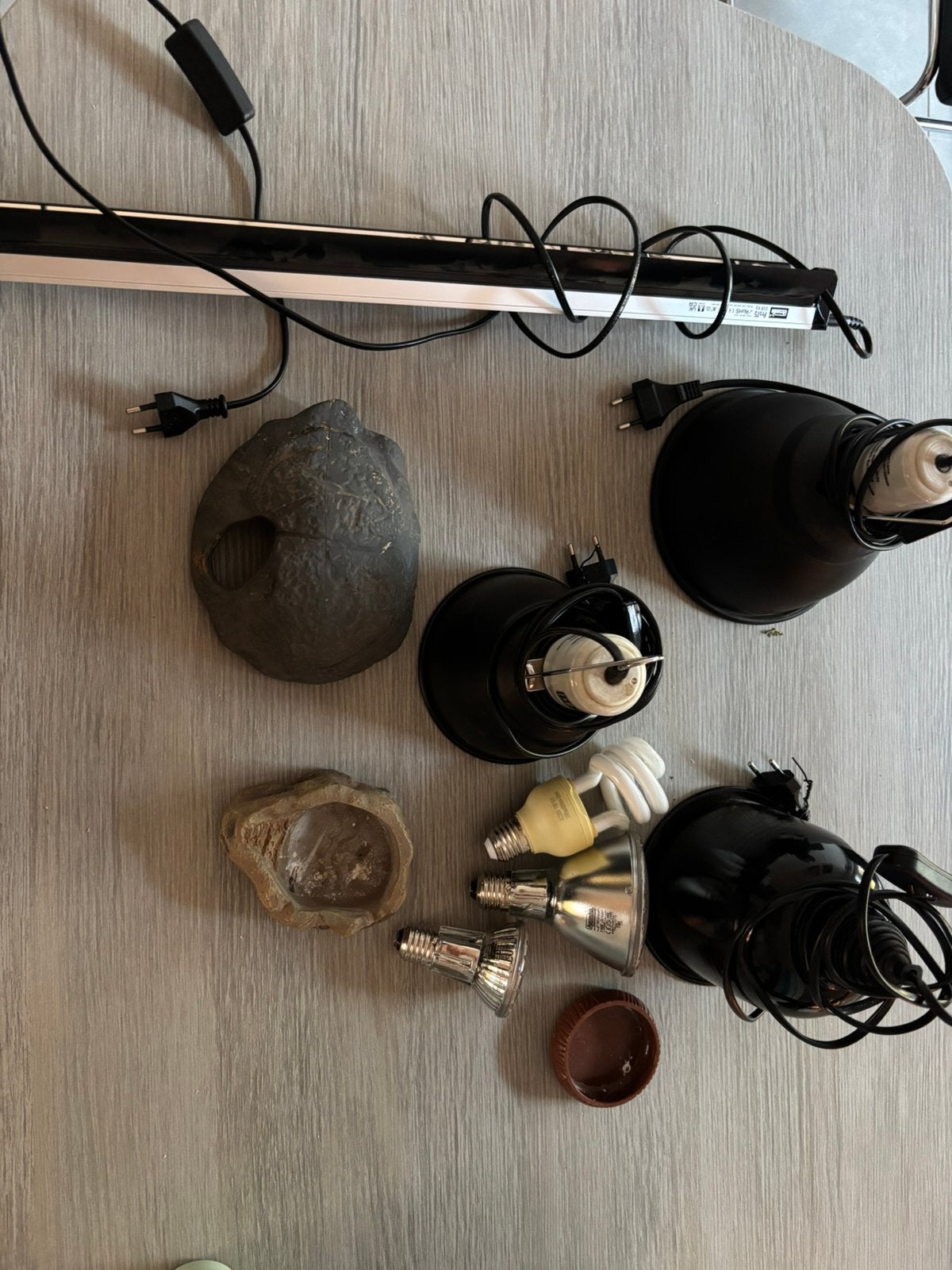 Terrarium accesoires, Dieren en Toebehoren, Ophalen of Verzenden