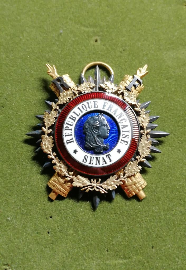 Insigne plaque écharpe Senateur 3ème république, Envoi, Autres, Ruban, Médaille ou Ailes