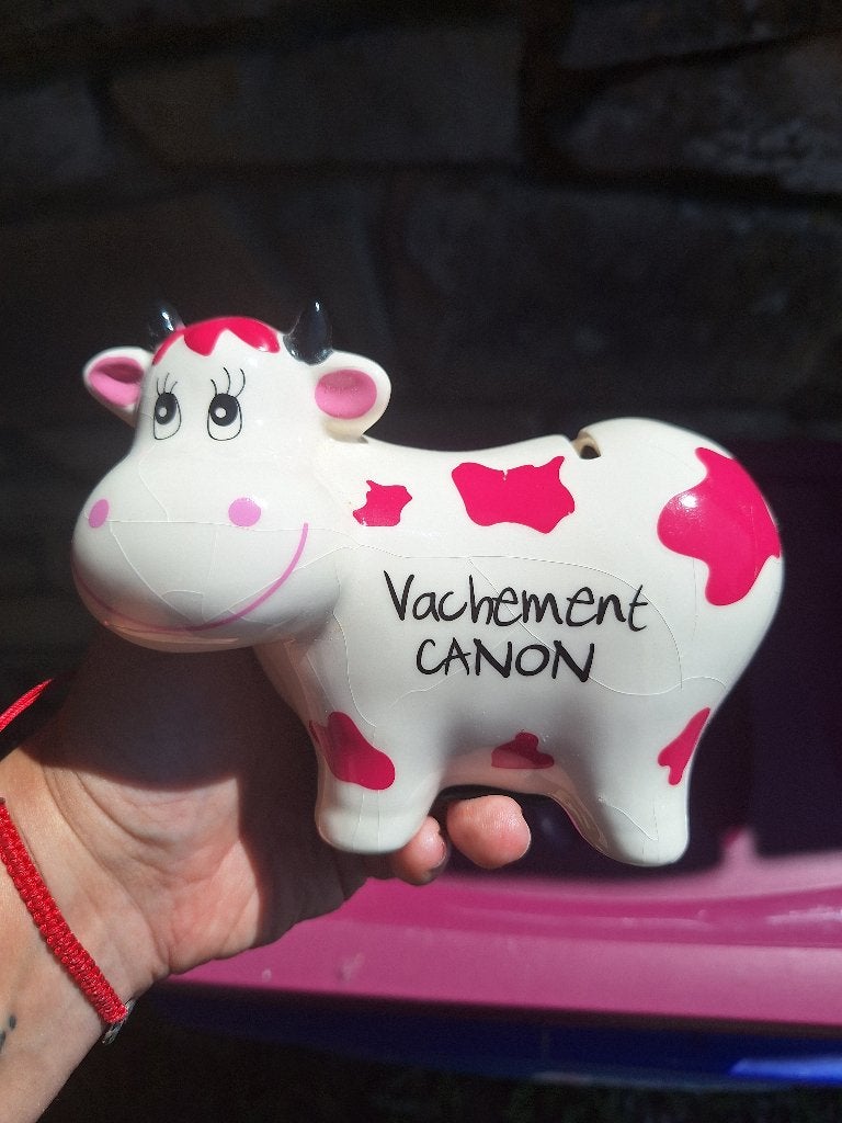 Tirelire, Enlèvement ou Envoi, Comme neuf, Pierre, Poterie ou Céramique, Animal