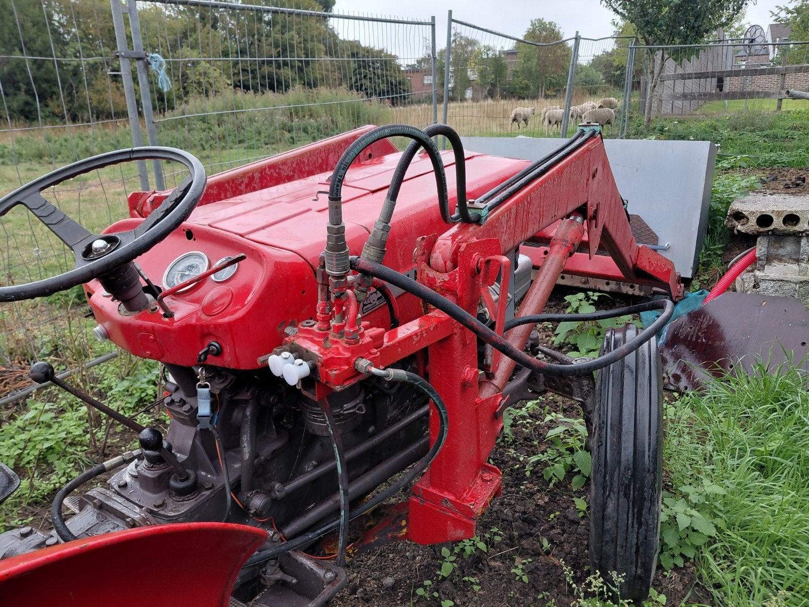tracteur massey ferguson 135, Enlèvement, Cultures, Agricole