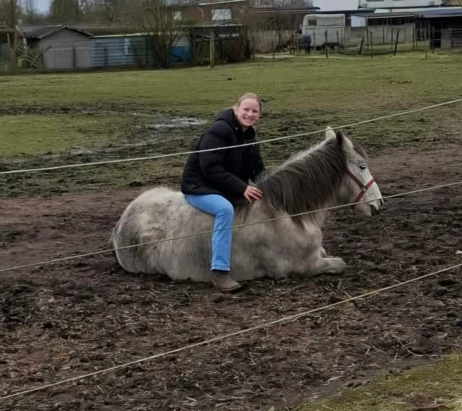 western paard te koop, Dieren en Toebehoren, Minder dan 160 cm, Zadelmak, 7 tot 10 jaar, Westernpaard