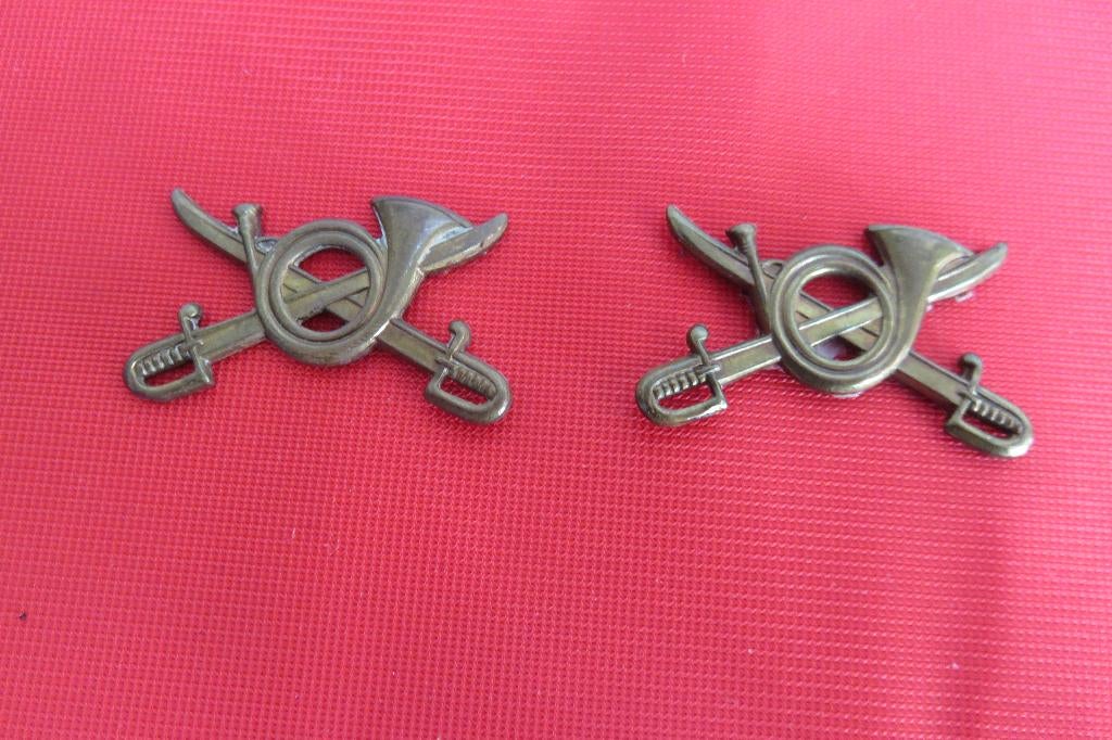 Insigne d'épaulettes Chasseurs à Cheval, Enlèvement ou Envoi, Armée de terre, Emblème ou Badge