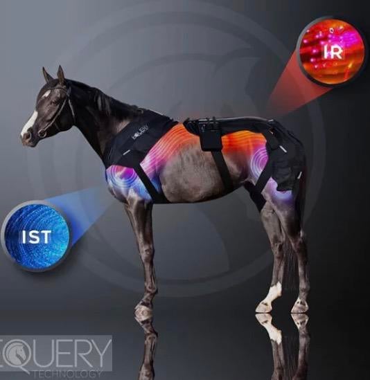 Equery toestel 2 de hands, Dieren en Toebehoren