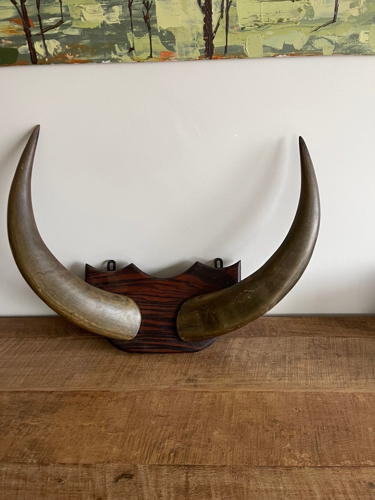 Hoorns waterbuffel, Verzamelen, Ophalen of Verzenden, Gebruikt