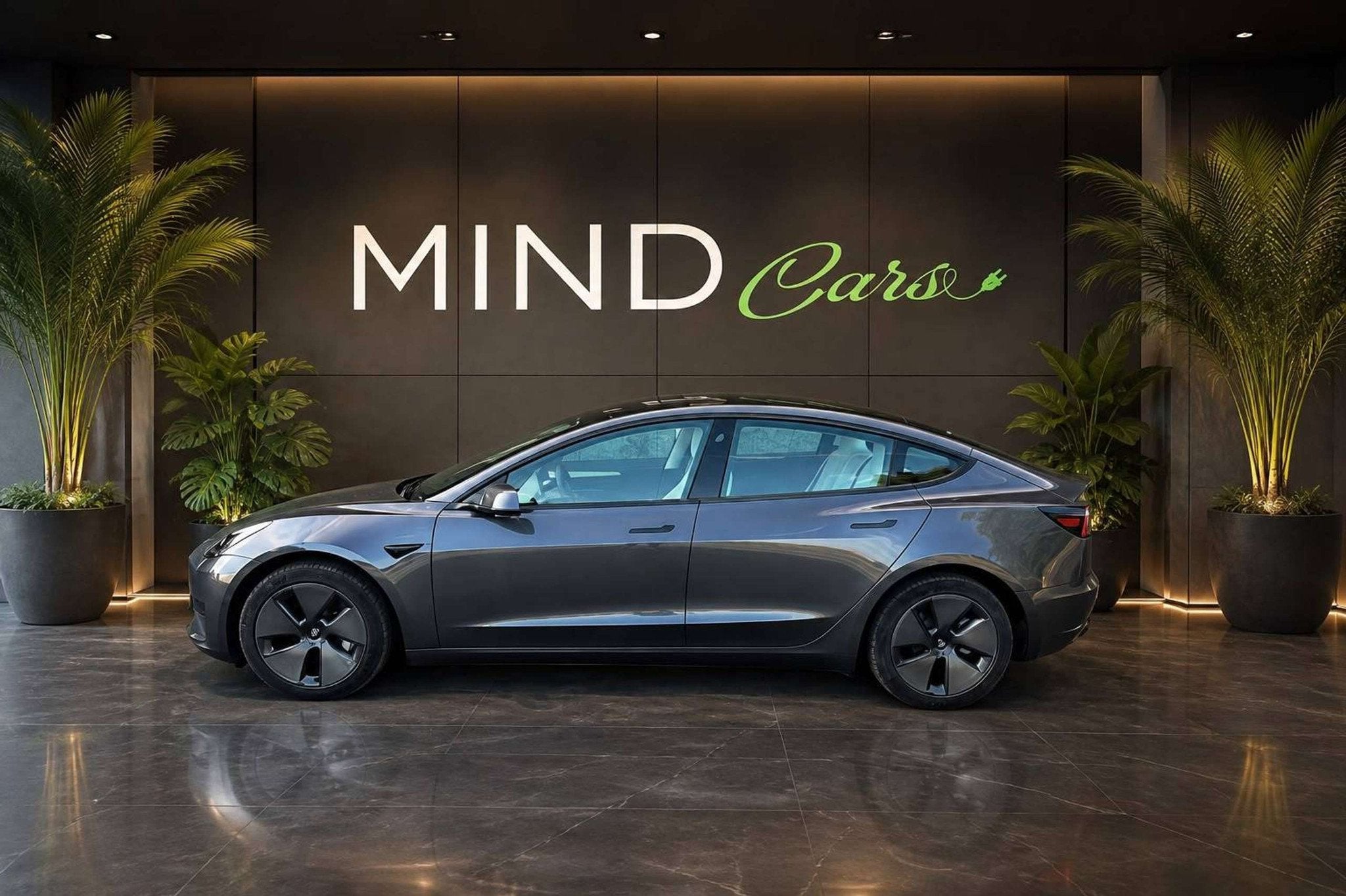 Tesla Model 3 Model 3 55 kWh Standard Plus (automatique), Autos, Argent ou Gris, Achat, 491 km, 283 ch