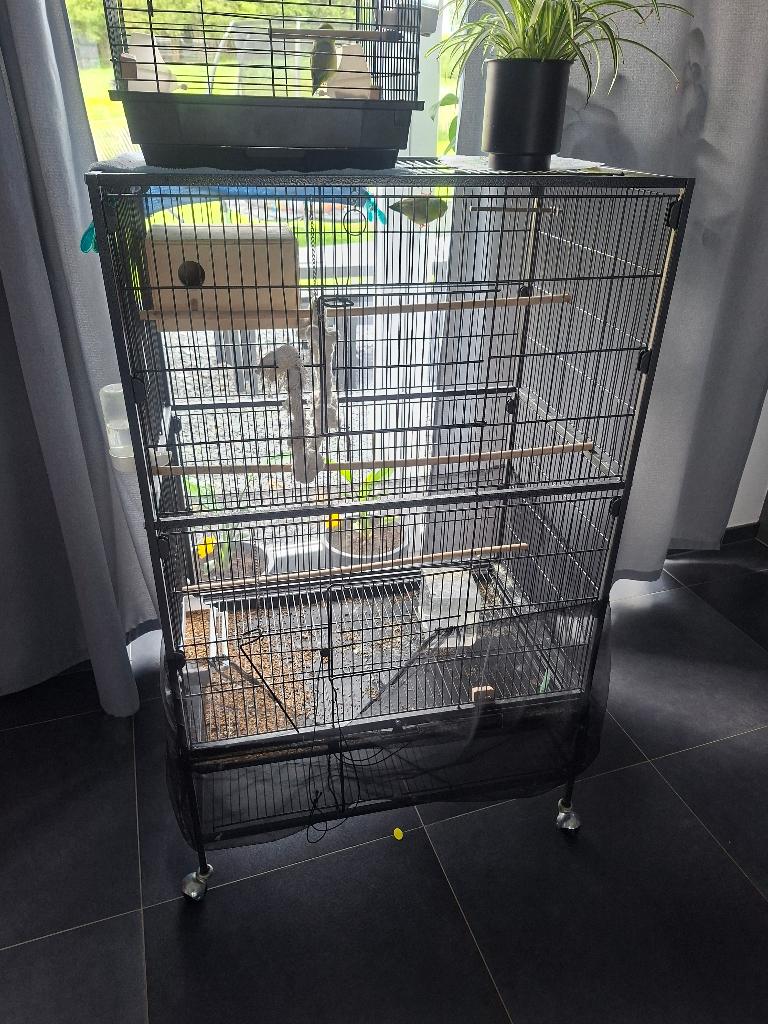 Cage volierre, Animaux & Accessoires, Enlèvement, Utilisé, Métal, Cage à oiseaux