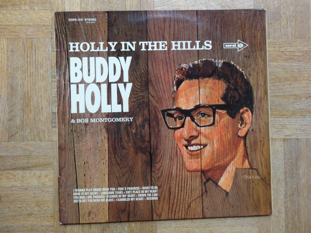 Buddy Holly, LP, Gebruikt, Ophalen of Verzenden, 12 inch