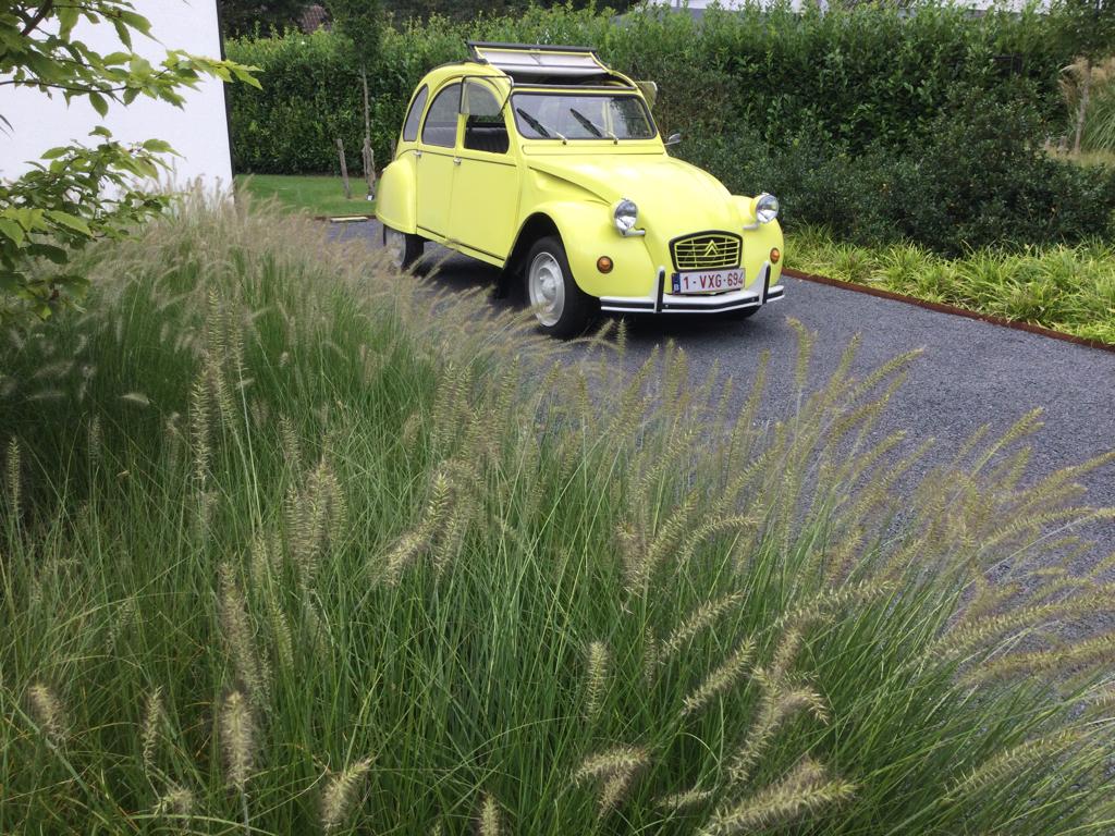 2cv 1981 cédrat geel …007… in goede staat, Particulier, Geel, Te koop, 2CV