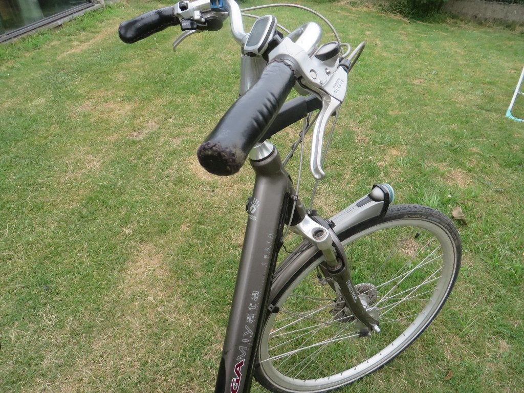 damesfiets, Fietsen en Brommers, 47 tot 50 cm, Ophalen, Versnellingen