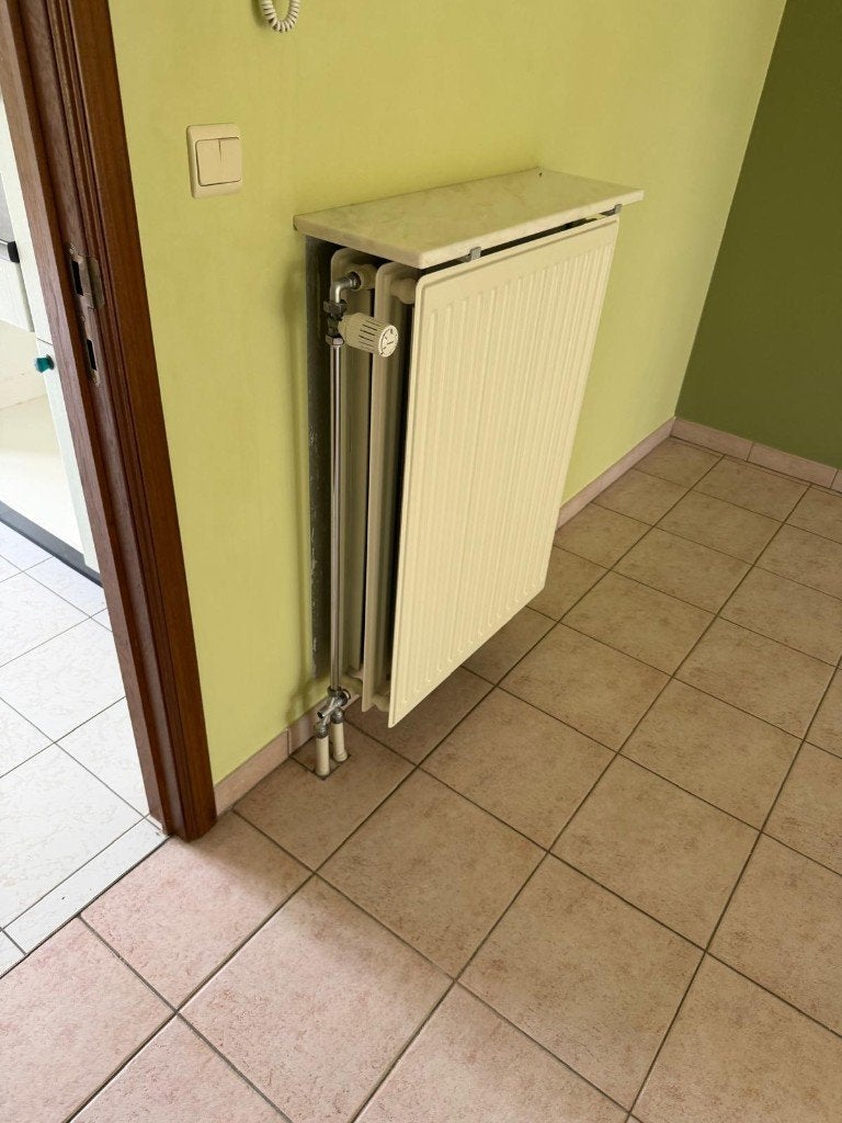 18 radiatoren – inclusief thermostatische kranen en beugels, Ophalen, Gebruikt, Radiator